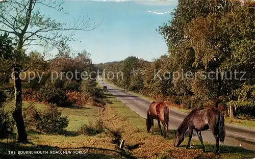 AK / Ansichtskarte Christchurch Canterbury The Bournemouth Road New Forest Kat. Christchurch