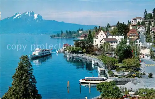 AK / Ansichtskarte Weggis Vierwaldstaettersee Promenade mit Pilatus