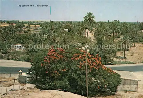 AK / Ansichtskarte Jericho Israel The Jericho Hill Tel Al Sultan Kat. Israel