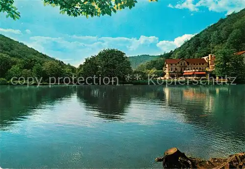 AK / Ansichtskarte Bad Lauterberg Wiesenbeker Teich mit Hotel Kat. Bad Lauterberg im Harz