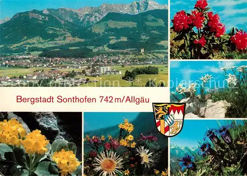 AK / Ansichtskarte Sonthofen Oberallgaeu Panorama Bergstadt Alpenflora Kat. Sonthofen