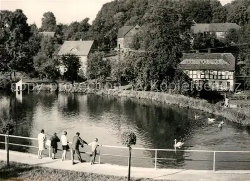 AK / Ansichtskarte Schoenbach Loebau Schwanenteich Kat. Schoenbach Loebau