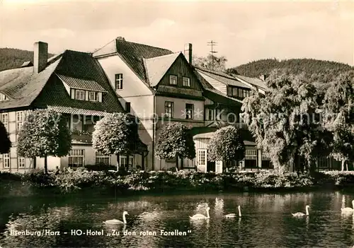 AK / Ansichtskarte Ilsenburg Harz Hotel Zu den roten Forellen Kat. Ilsenburg Harz