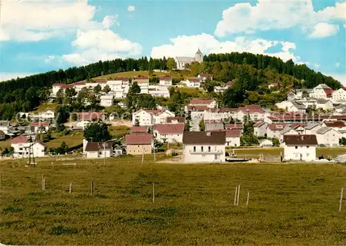 AK / Ansichtskarte Kirchberg Wald Niederbayern Panorama