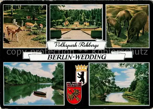 AK / Ansichtskarte Wedding Volkspark Rehberge Tierpark Freilichtbuehne See Kat. Berlin