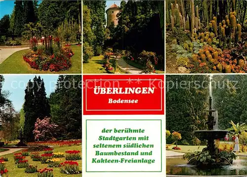 AK / Ansichtskarte ueberlingen Bodensee Stadtgarten Kakteen Freianlage Brunnen Kat. ueberlingen