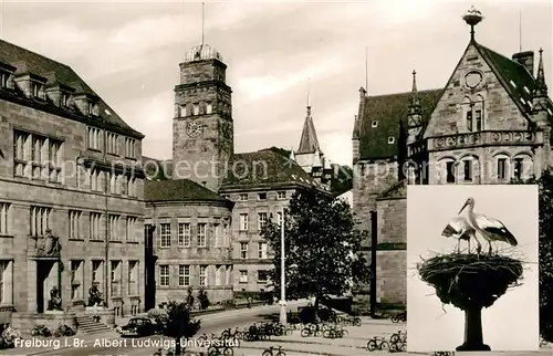 AK / Ansichtskarte Storch Freiburg im Breisgau Albert Ludwigs Universitaet Kat. Tiere