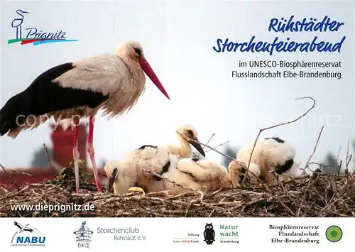 AK / Ansichtskarte Storch Prignitz Ruehstaedter Storchenfeierabend Ruehstaedt  Kat. Tiere