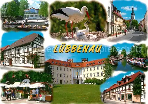 AK / Ansichtskarte Storch Luebbenau Spreewald Rathaus Kat. Tiere