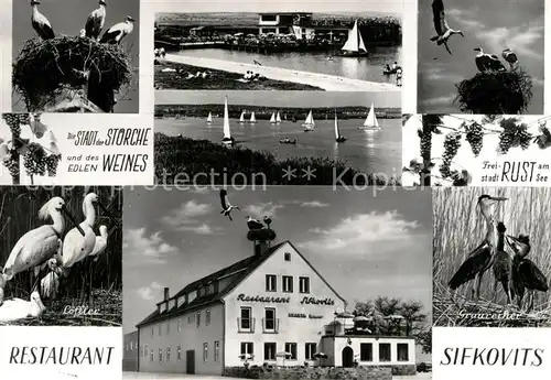 AK / Ansichtskarte Storch Restaurant Sifkovits Rust Neusiedlersee  Kat. Tiere