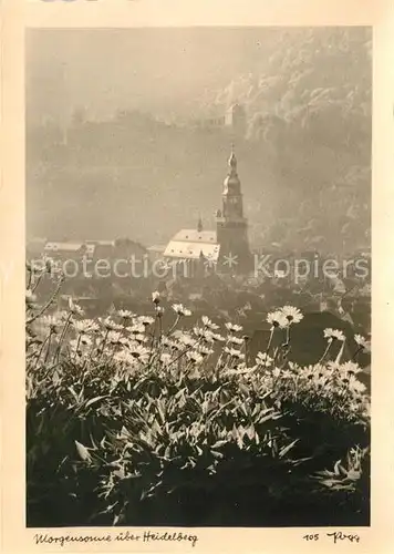 AK / Ansichtskarte Foto Popp Nr. 105 Morgensonne ueber Heidelberg  Kat. Fotografie