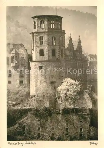 AK / Ansichtskarte Foto Popp Nr. Heidelberg Schloss  Kat. Fotografie
