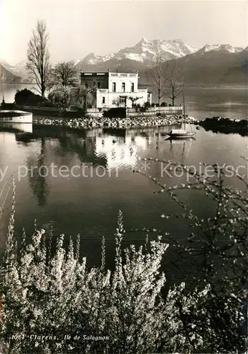 AK / Ansichtskarte Clarens Montreux Ile de Salagnon Kat. Montreux