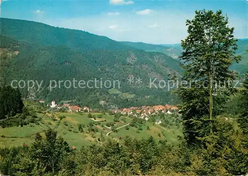 AK / Ansichtskarte Langenbrand Forbach Panorama Murgtal Schwarzwald Kat. Forbach