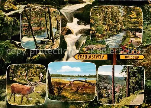 AK / Ansichtskarte Enzkloesterle Waldpartie Bergbach Wasserfall Hirsch Landschaftspanorama Schwarzwald Kat. Enzkloesterle