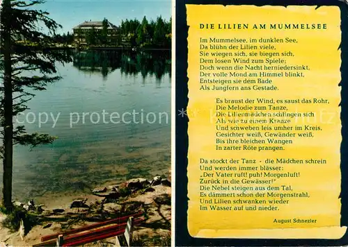 AK / Ansichtskarte Gedicht auf AK Die Lilien am Mummelsee Berghotel Kat. Lyrik