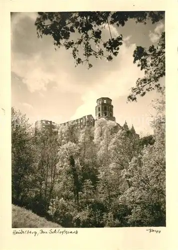 AK / Ansichtskarte Foto Popp Nr. Heidelberg Schlosspark  Kat. Fotografie