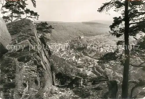 AK / Ansichtskarte Schwarzburg Thueringer Wald Panorama Blick vom Trippstein Kat. Schwarzburg