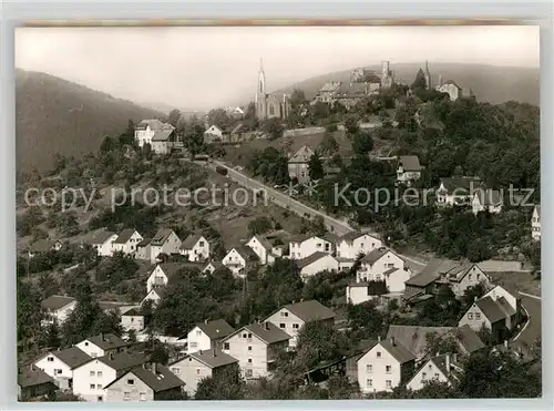 AK / Ansichtskarte Dilsberg Panorama Jugendherberge Kat. Neckargemuend