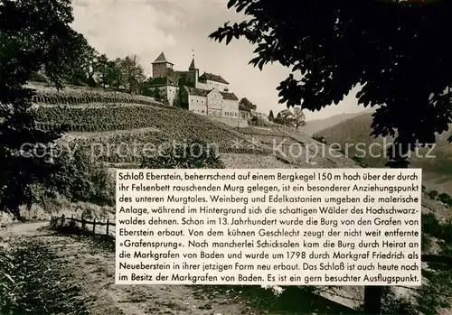 AK / Ansichtskarte Schloss Eberstein  Kat. Gernsbach