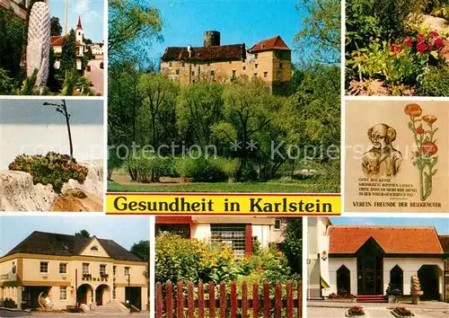 AK / Ansichtskarte Karlstein Thaya Schloss Karlstein Rathaus Pfarrer Weidinger Kraeutergarten  Kat. Oesterreich