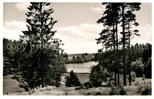 AK / Ansichtskarte Grafenhausen Schwarzwald Schluechtsee Kat. Grafenhausen