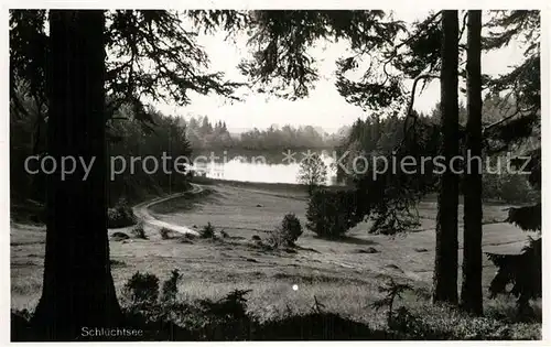 AK / Ansichtskarte Grafenhausen Schwarzwald Schluechtsee Kat. Grafenhausen