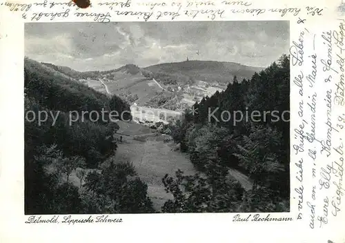 AK / Ansichtskarte Detmold Panorama Lippische Schweiz Kat. Detmold