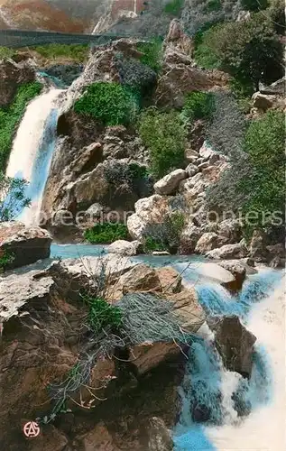 AK / Ansichtskarte Tlemcen Cascades du Meffrouch Kat. Algerien