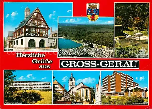 AK / Ansichtskarte Gross Gerau Rathaus Niederwaldsee Fasanerie Kreiskrankenhaus Stadtkirche Altenwohnheim Kat. Gross Gerau