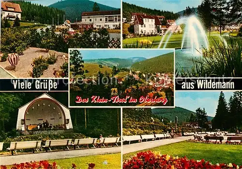 AK / Ansichtskarte Wildemann Kurhaus Kurpark Musikpavillon Klein Tirol im Oberharz Kat. Wildemann Harz