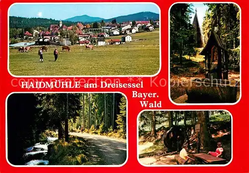 AK / Ansichtskarte Haidmuehle Panorama Brunnen Waldweg Wasserrad Kat. Haidmuehle