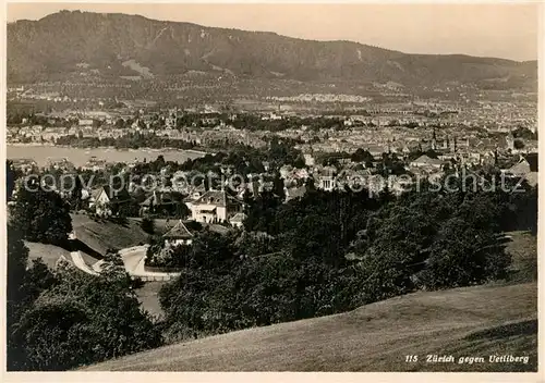 AK / Ansichtskarte Zuerich ZH Panorama Blick gegen Uetliberg