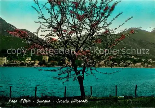 AK / Ansichtskarte Omegna Scorcio pittoresco Lago d Orta Kat. Omegna