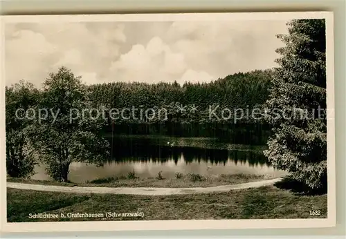 AK / Ansichtskarte Grafenhausen Schwarzwald Schluechtsee Kat. Grafenhausen