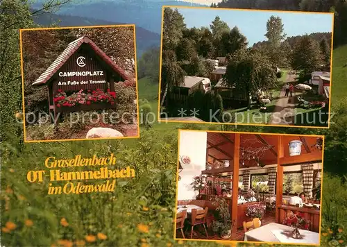 AK / Ansichtskarte Hammelbach Campingplatz Gaststaette Am Fusse der Tromm Kat. Grasellenbach