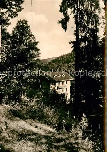 AK / Ansichtskarte St Blasien Teilansicht  Kat. St. Blasien