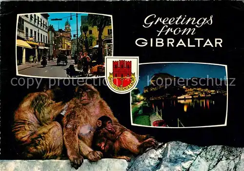 AK / Ansichtskarte Gibraltar Affen Strassenansicht  Kat. Gibraltar