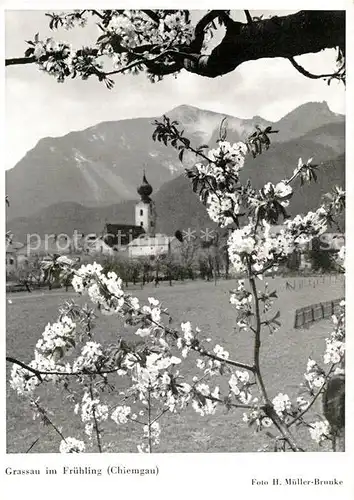 AK / Ansichtskarte Grassau Chiemgau im Fruehling Baumbluete Blick zur Kirche Alpen Kat. Grassau