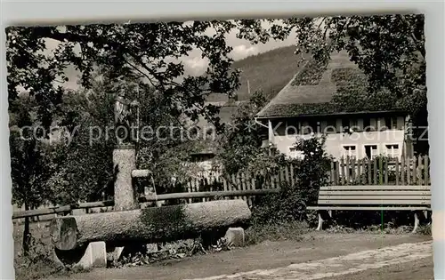 AK / Ansichtskarte Haeusern Schwarzwald Fridolinsbrunnen Kat. Haeusern