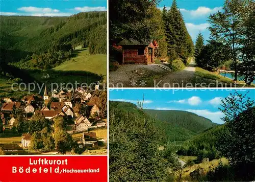 AK / Ansichtskarte Boedefeld Panorama Luftkurort Holzhuette am See Kat. Schmallenberg