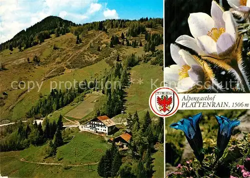 AK / Ansichtskarte Arzl Pitztal Alpengasthof Plattenrain Kat. Arzl im Pitztal