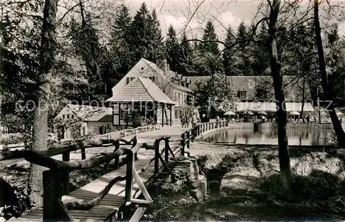 AK / Ansichtskarte Leopoldstal Lippe Waldhotel Silbermuehle Kat. Horn Bad Meinberg