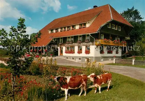 AK / Ansichtskarte Haeusern Schwarzwald Gasthaus Schoepperle  Kat. Haeusern