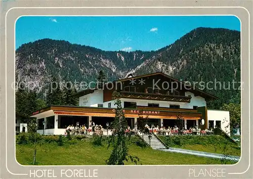AK / Ansichtskarte Plansee Hotel Forelle Kat. Breitenwang