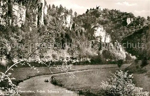 AK / Ansichtskarte Goessweinstein Burg Talpartie Kat. Goessweinstein