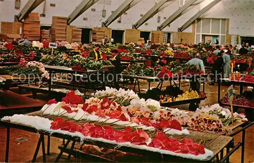 AK / Ansichtskarte Aalsmeer Bloemenveiling Kat. Aalsmeer