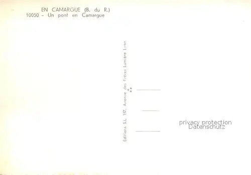 AK / Ansichtskarte Camargue Un pont en Camargue Cheval
