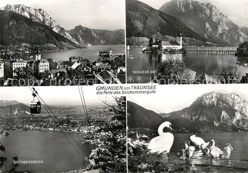 AK / Ansichtskarte Gmunden Salzkammergut Blick ueber den Traunsee Schloss Ort Gruenbergbahn Schwaene Kat. Gmunden