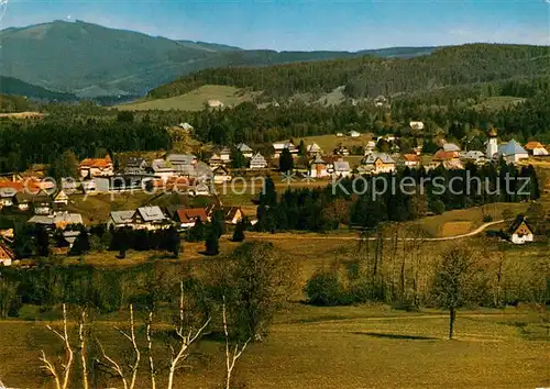 AK / Ansichtskarte Hinterzarten Teilansicht  Kat. Hinterzarten